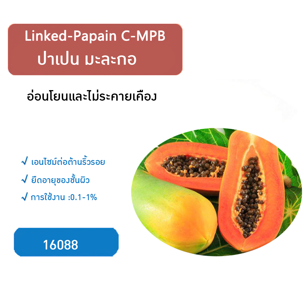 16094 TT Linked-papain C-MPB  บรรจุภัณฑ์เครื่องสำอางค์ ถูกดีงาม