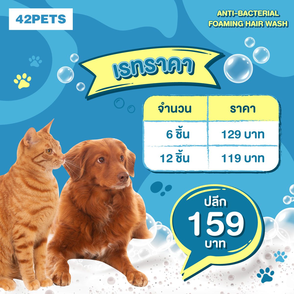 รับผลิตโฟมอาบน้ำน้องหมา น้องแมว ราคาถูก 