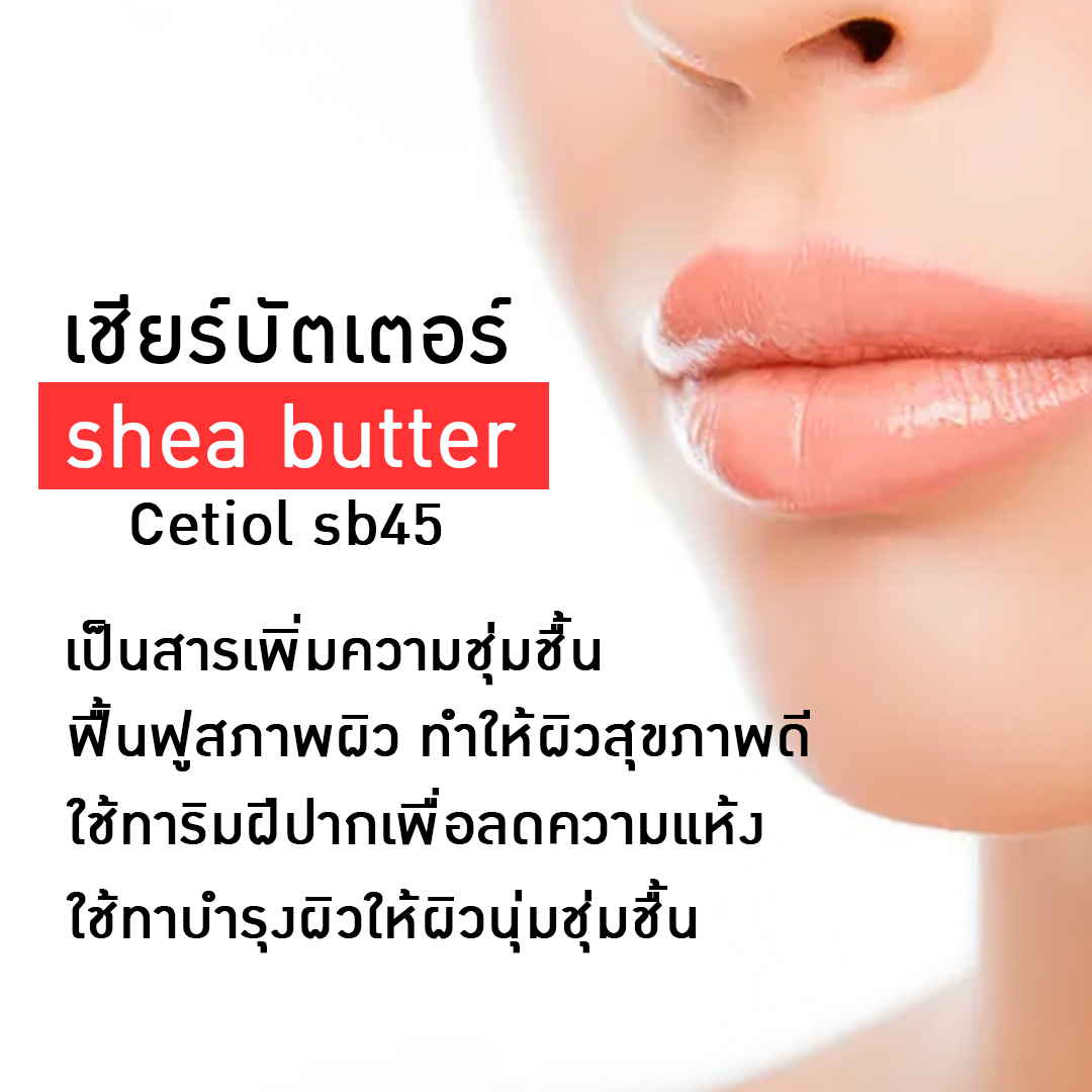 ขายเคมีราคาถูก shea butter 