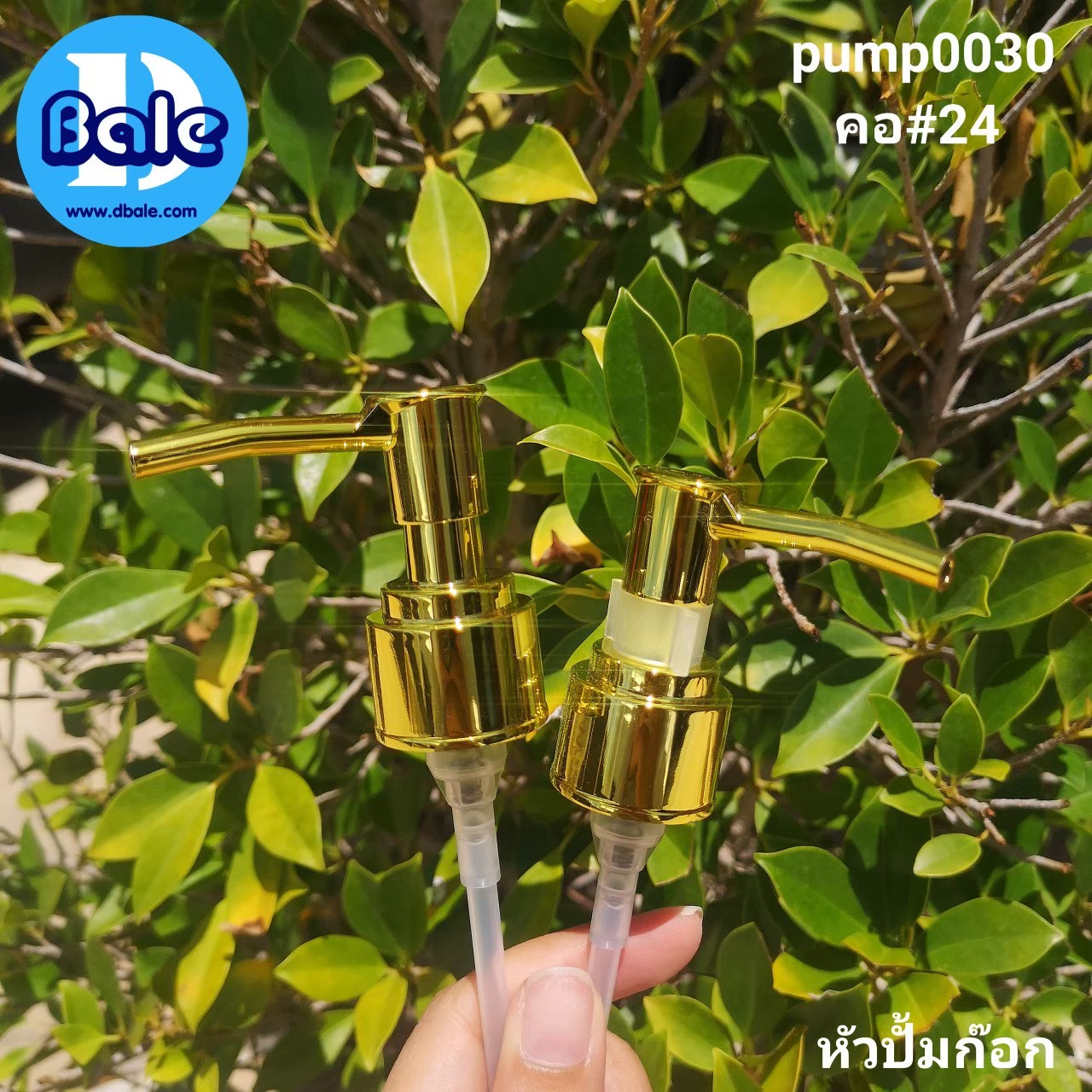 หัวปั้ม ก๊อกน้ำ lockคอใส หัวทองเงา-ทองเงา คอ24 (PA31)