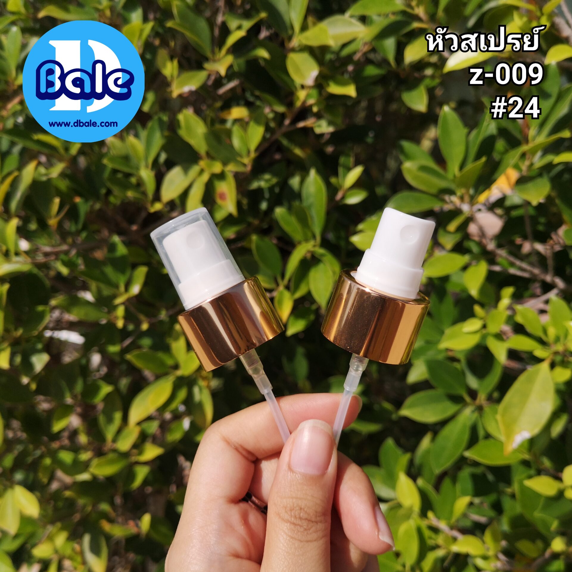z-009 #24 ขาว/ทองเงา
