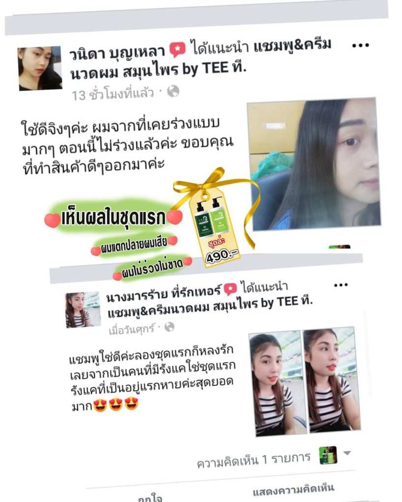แชมพูและครีมนวดผมสมุนไพร by tee ลดผมร่วง ขจัดรังแค ชะลอการเกิดผมหงอก บำรุงหนังศีรษะ ยับยั้งเชื้อราบนหนังศีรษะ