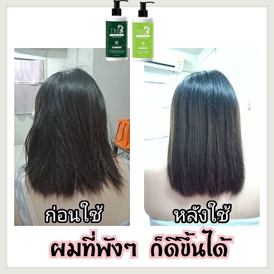 แชมพูและครีมนวดผมสมุนไพร by tee ลดผมร่วง ขจัดรังแค ชะลอการเกิดผมหงอก บำรุงหนังศีรษะ ยับยั้งเชื้อราบนหนังศีรษะ